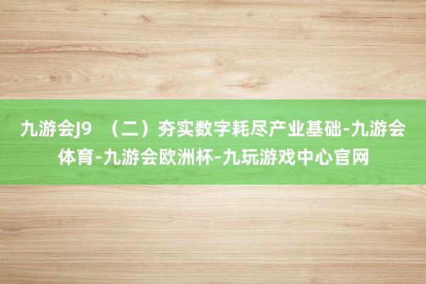 九游会J9  （二）夯实数字耗尽产业基础-九游会体育-九游会欧洲杯-九玩游戏中心官网