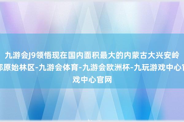 九游会J9领悟现在国内面积最大的内蒙古大兴安岭北部原始林区-九游会体育-九游会欧洲杯-九玩游戏中心官网