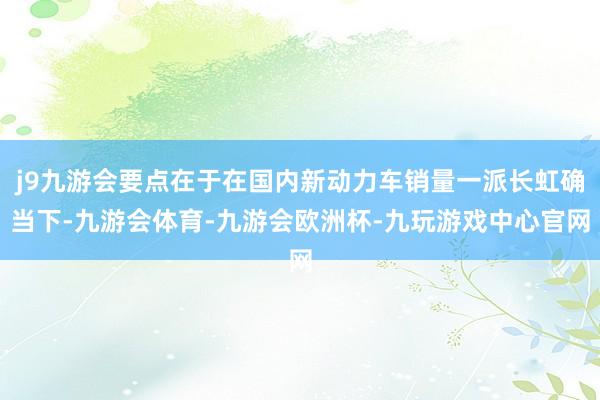 j9九游会要点在于在国内新动力车销量一派长虹确当下-九游会体育-九游会欧洲杯-九玩游戏中心官网