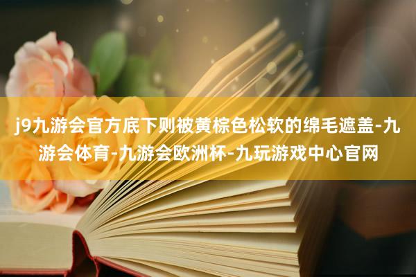 j9九游会官方底下则被黄棕色松软的绵毛遮盖-九游会体育-九游会欧洲杯-九玩游戏中心官网